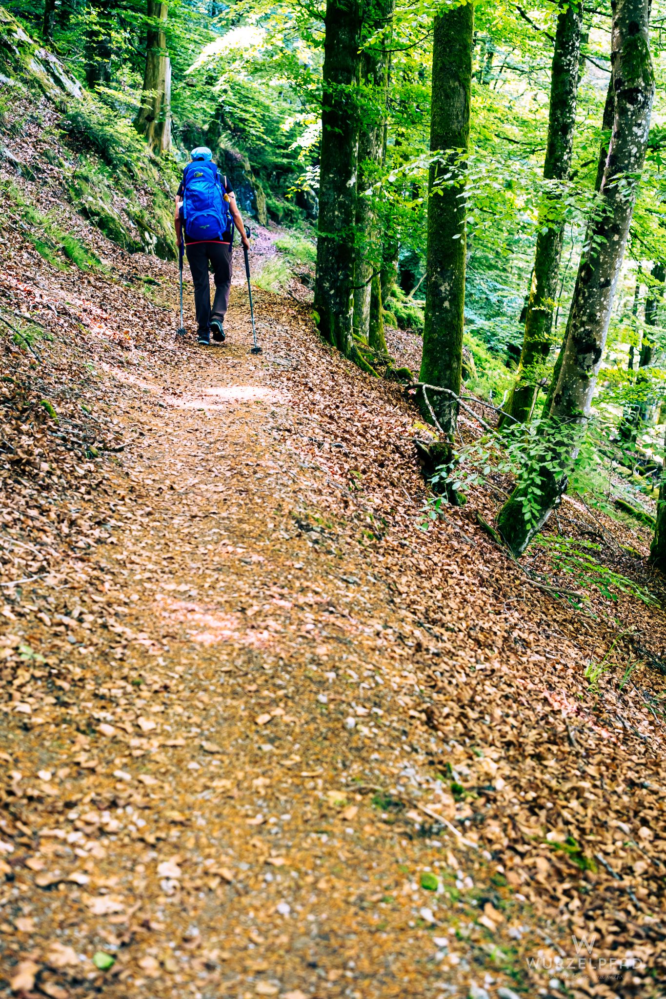 Schmale Pfade in der Wehraschlucht